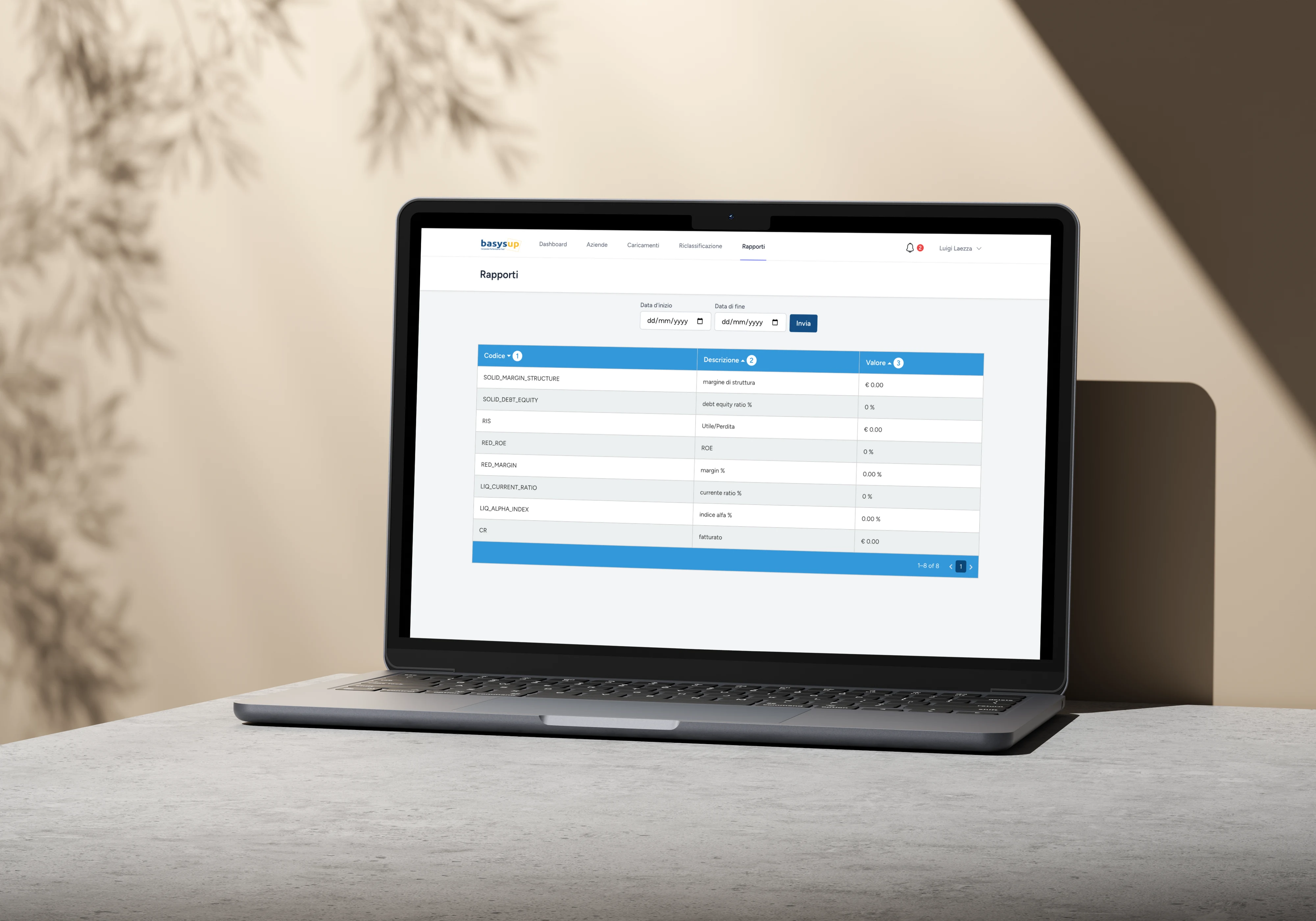 Basysup - make business data meaningful